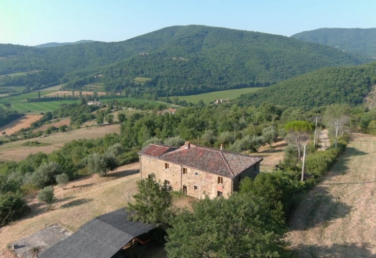 AZIENDA  CON CASALI RIF. 635